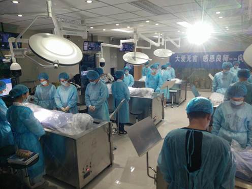 向大体老师致礼默哀